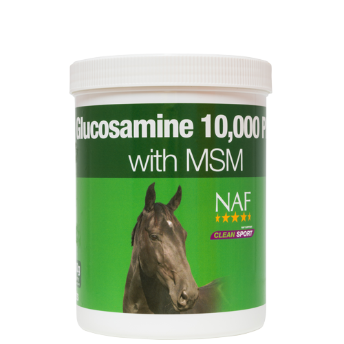 NAF Glucosamine 10000 Plus with MSM - 900g